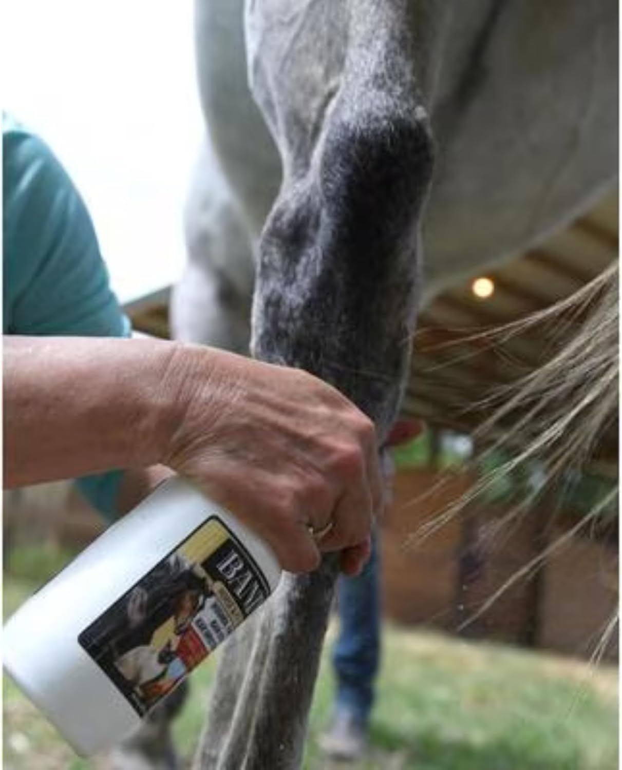 Banixx Shampoo & Spray 16 oz – Horse & Dog Skin & Coat Care Bundle