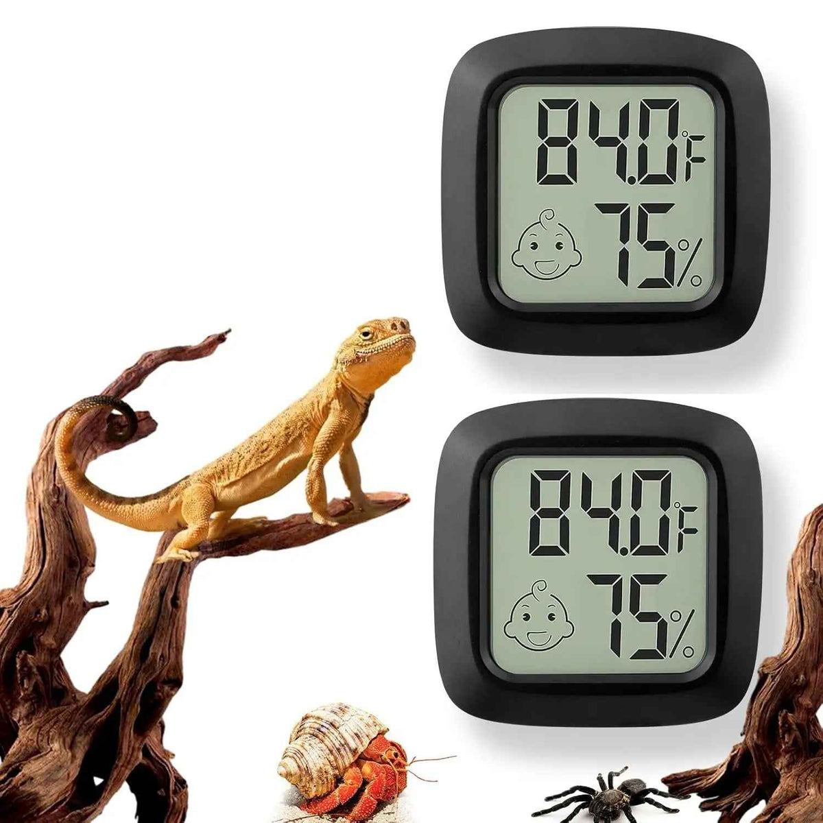 Digital Reptile Thermometer & Hygrometer – 2-Pack or 4-Pack