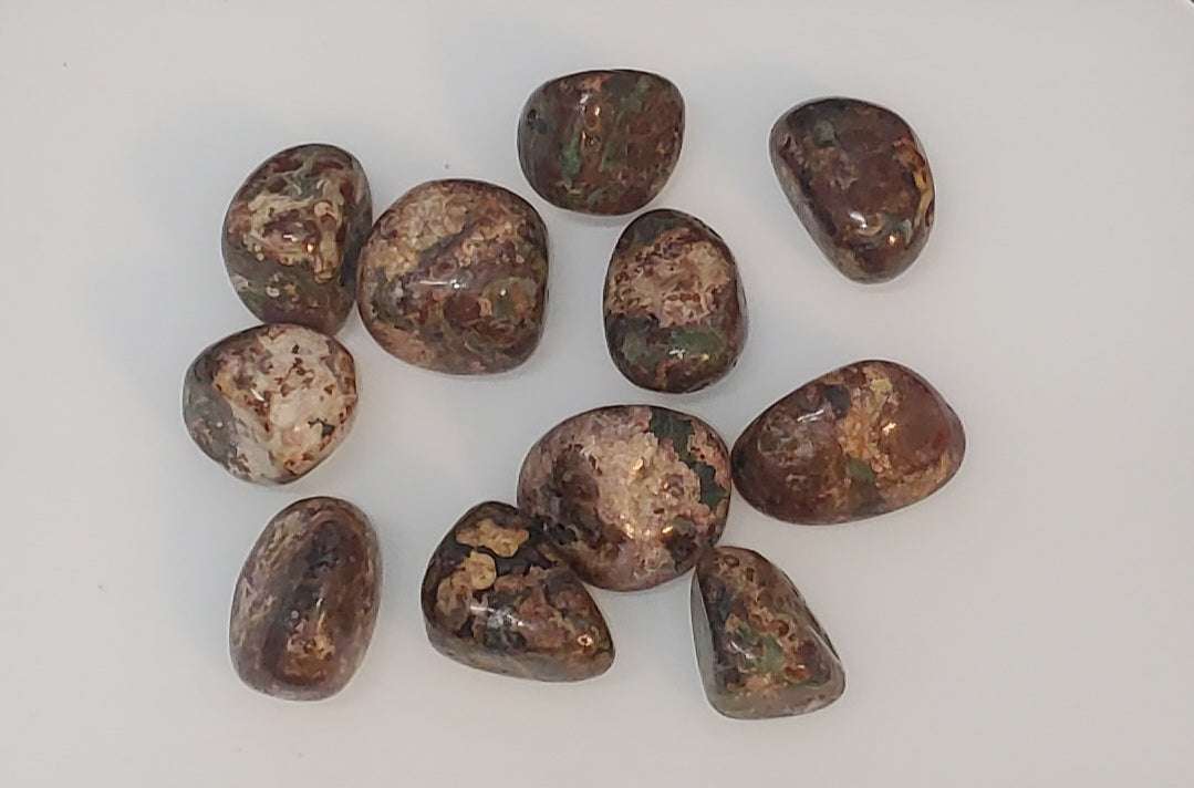 Piedra de bolsillo pulida de jaspe leopardo verde