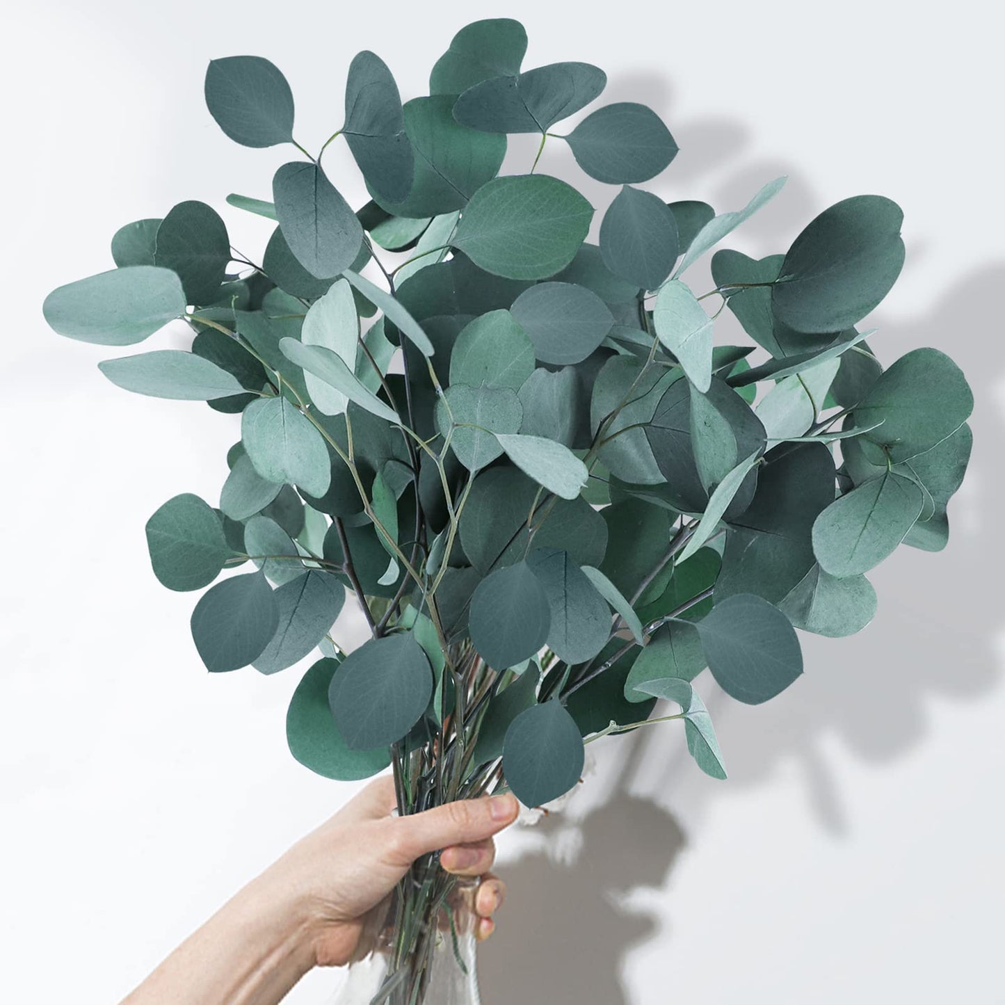 White Eucalyptus - ROOM & LINEN SPRAY, Fresh Clean Aromatherapy Scent -- by Moon Water Apothecary!