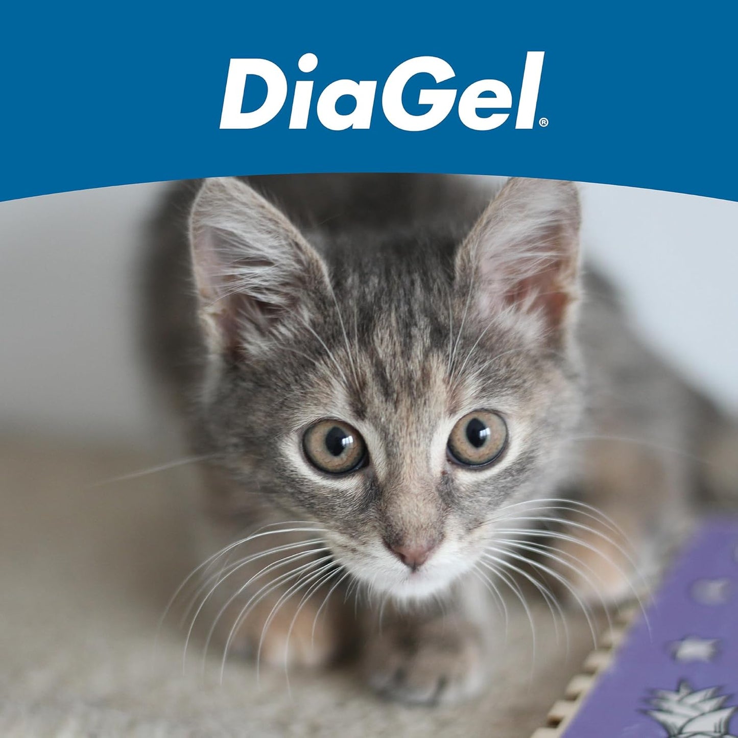 DiaGel for Cats 1 ml Oral Gel Loose Stools Digestive Upset Natural Support