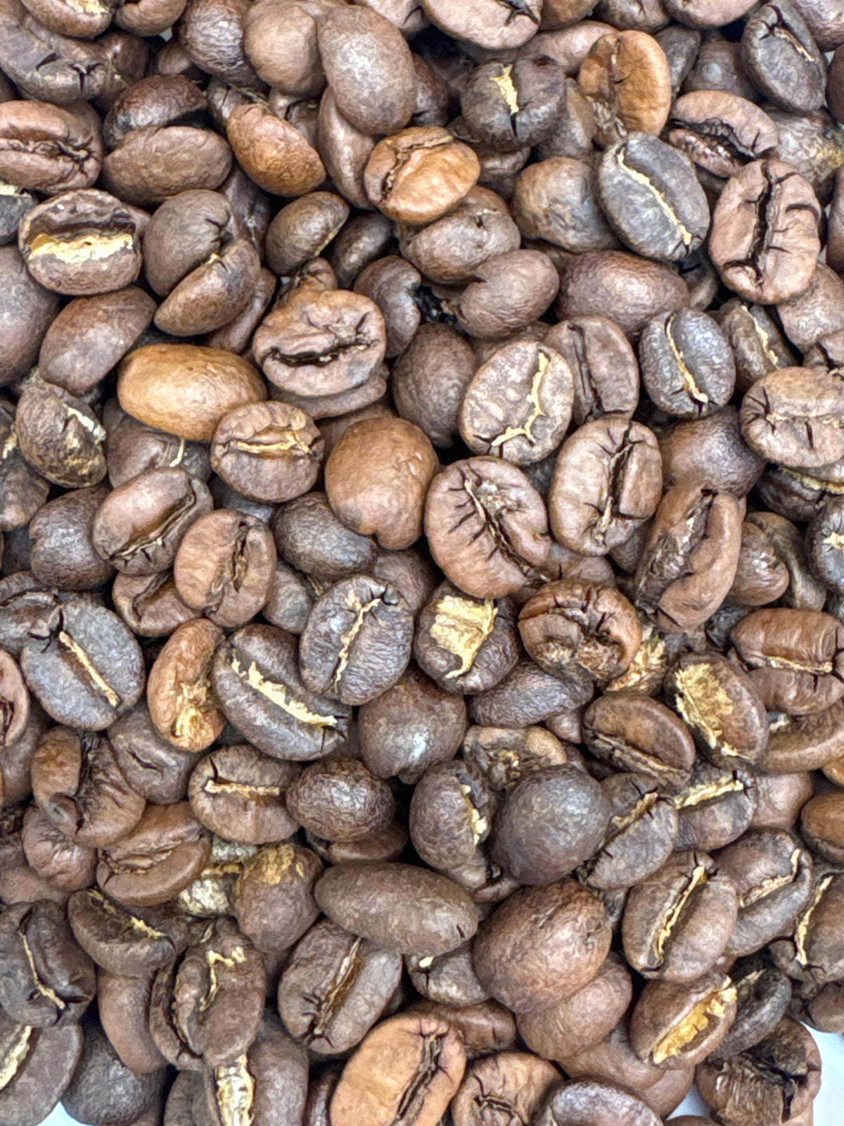 Lunar Espresso Blend Original