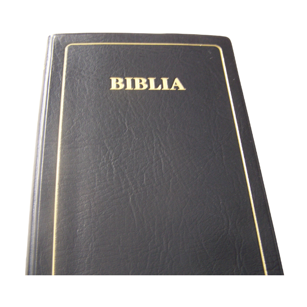 BIBLIA: MAANDIKO MATAKATIFU (Union Edition): Swahili Bible