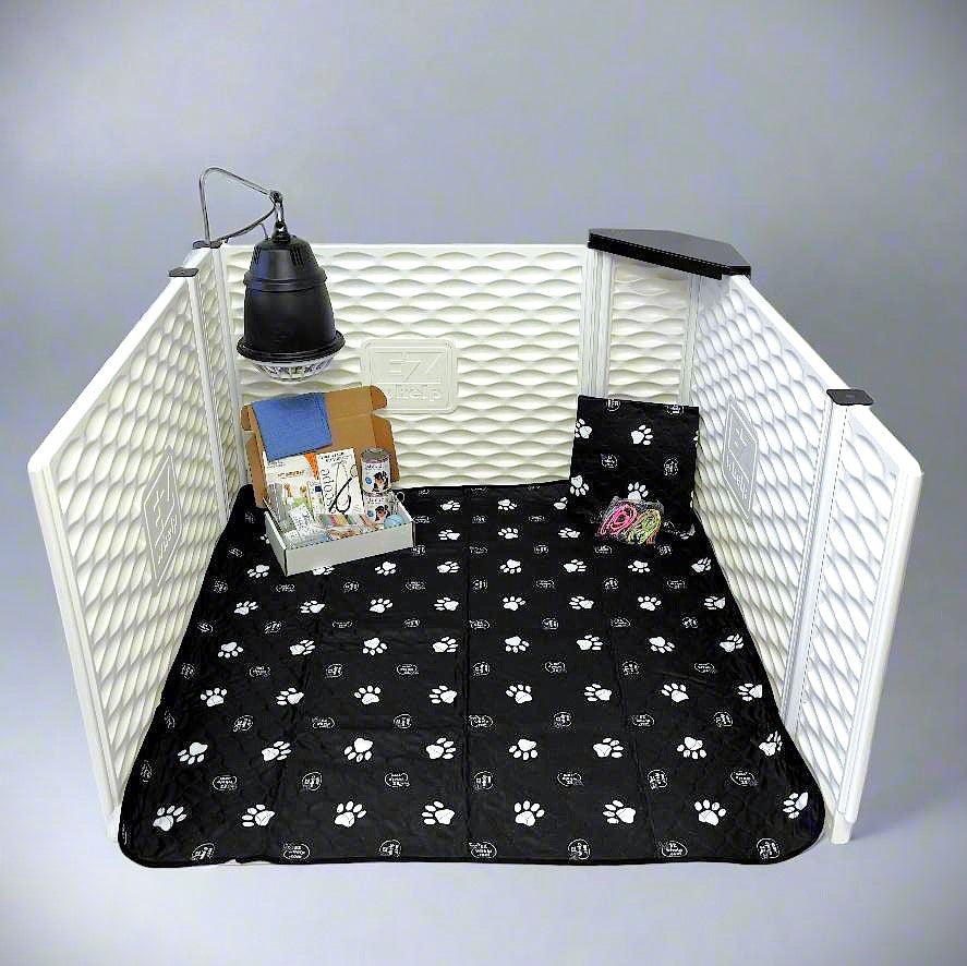 Paquetes - Set Esencial EZclassic