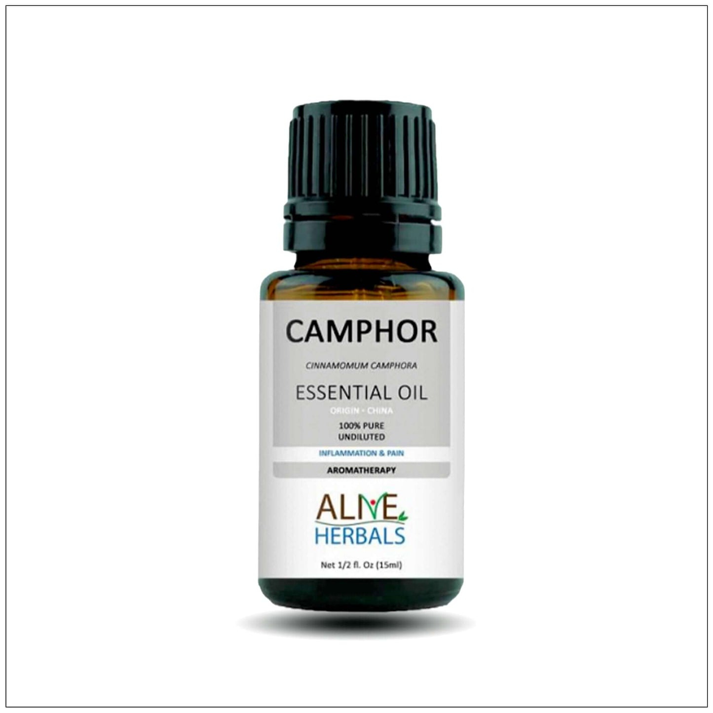Camphor Essential Oil