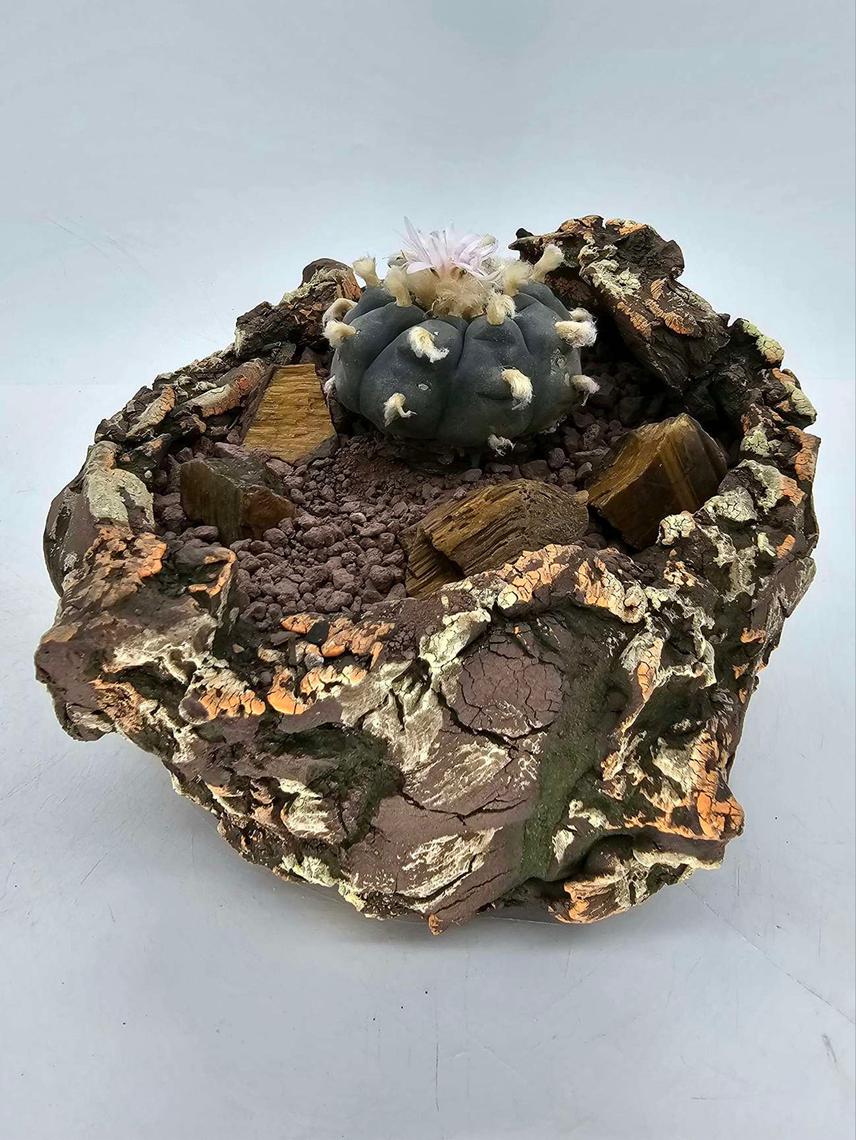 Cobertor de suelo de granito descompuesto marrón Baja - Bolsa de 2.5 LB