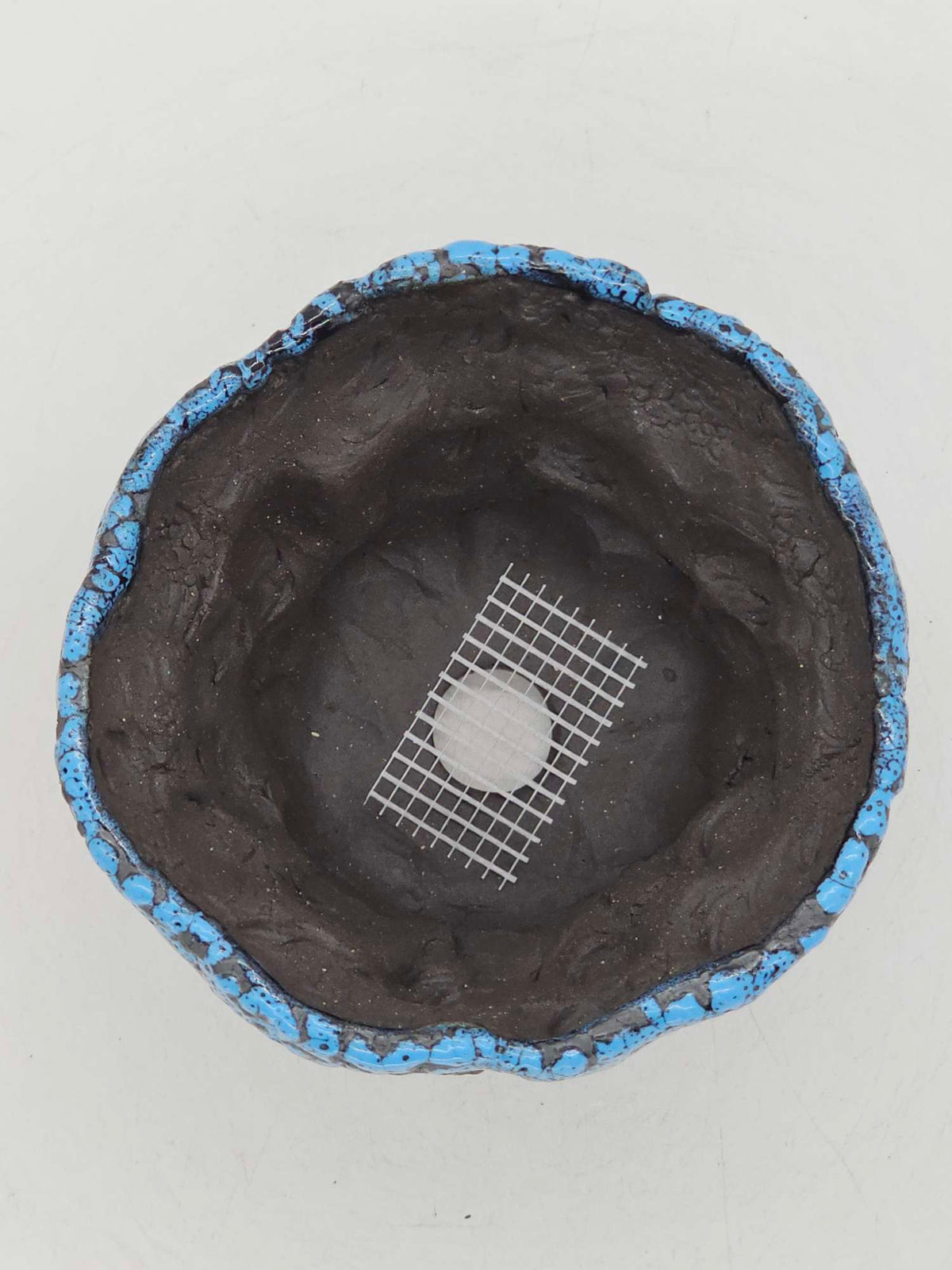 Cooked Earth