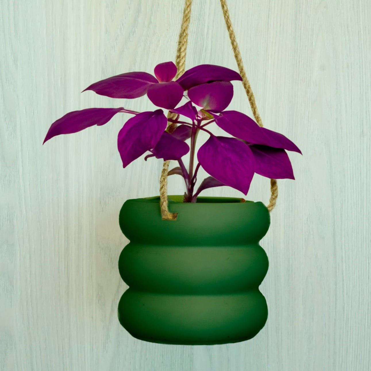 Hanging Bubble Plant Pot Green / 6 Inch + Drainage