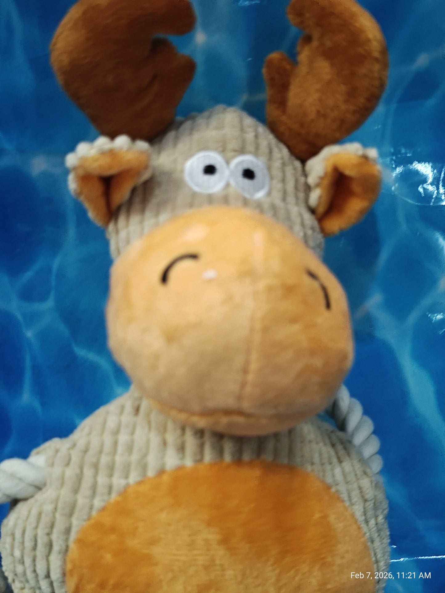 Dog Toys Collection 4 – Unleash the Fun with PNC Family Finds