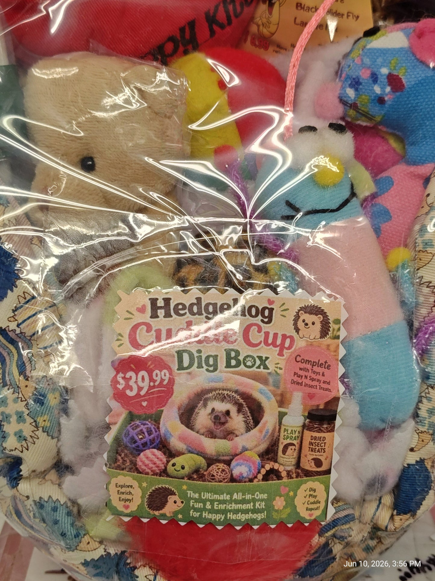 Cuddle Cup dig Box Lots of toys Great for Hedgehogs & Exotics