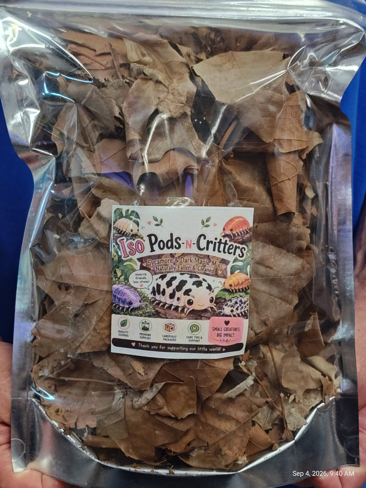 Isopod Silver Leaf Mix Naturally Collected ,Cleaned & Prepared