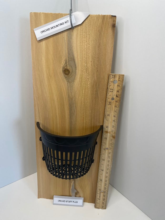 Handmade indoor/outdoor Orchid mount kit on a cedar shingle with a 5-inch mesh pot.