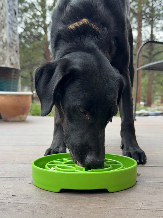 Bandeja de diseño para jardín eTray: comedero lento poco profundo para enriquecimiento canino | EE. UU.