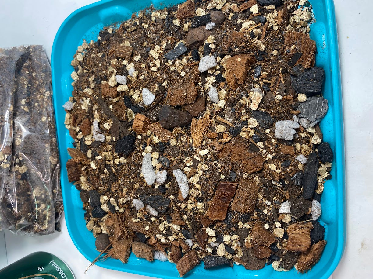Hoya Potting Mix - 1 quart bag of mixed Organic Coconut Coir Chips, Vermiculite, High Grade Potting Soil and Orchid Stuff Plus's Orchid Mix
