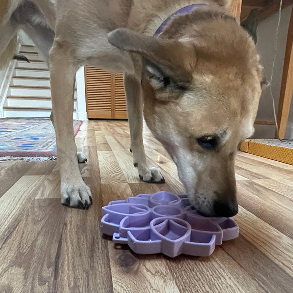 Cuenco para perros de alimentación lenta Mandala Softie eTray poco profundo con ventosas | Hecho en EE. UU.