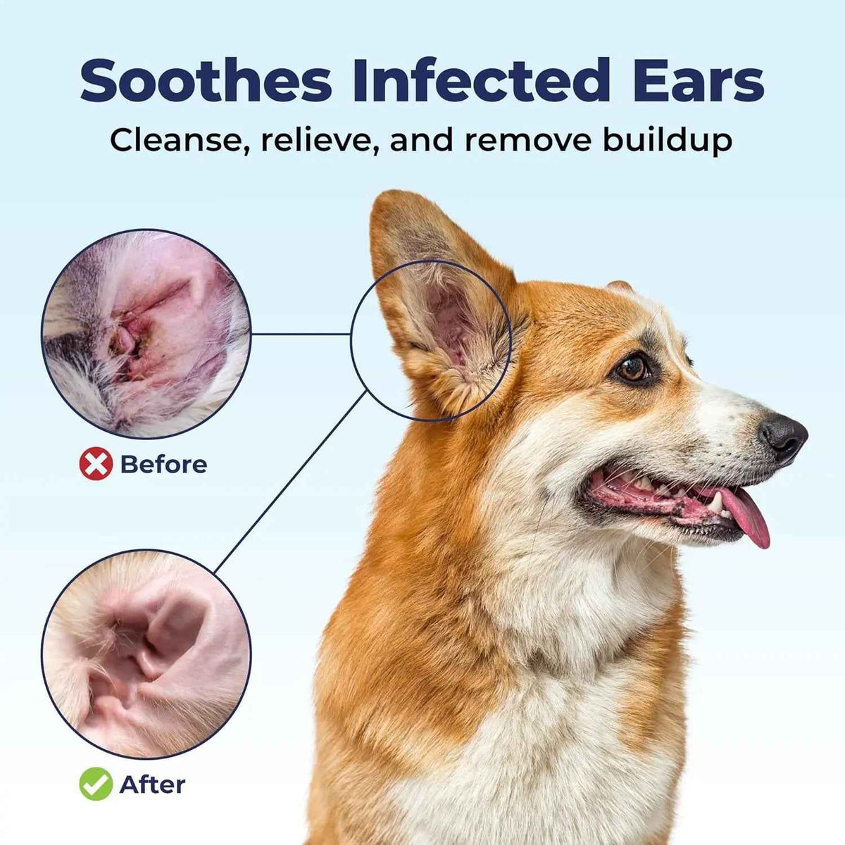 Oticbliss Medicated Ear Flush for Dogs & Cats, 12oz