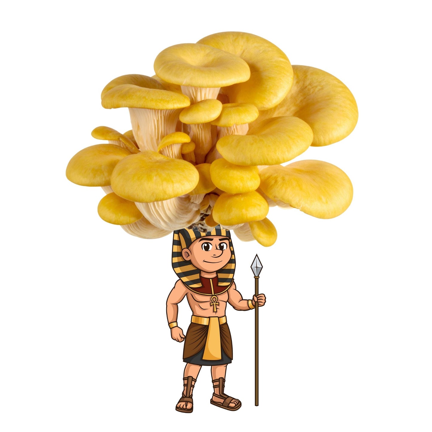 Ramushes the Great - Gold Oyster Mushroom Grow Kit - 6.5 LBS