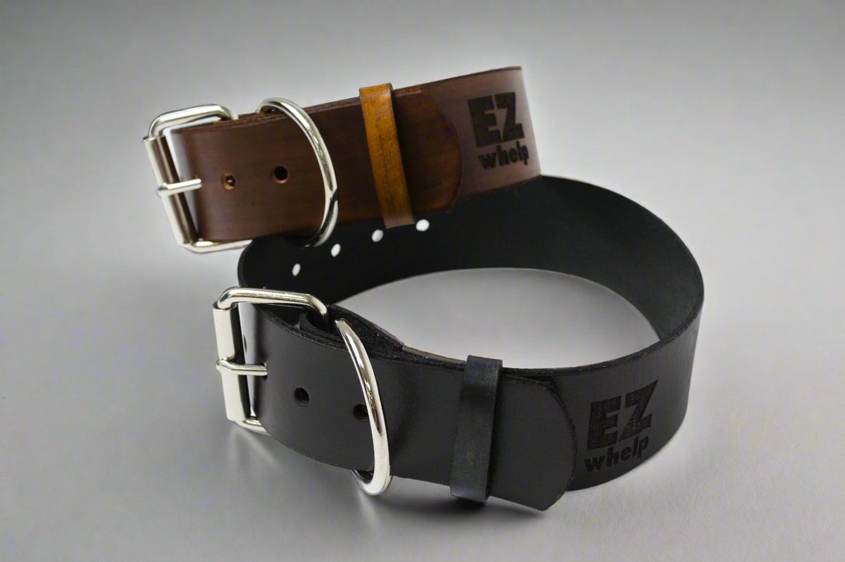 Collar de perro de cuero