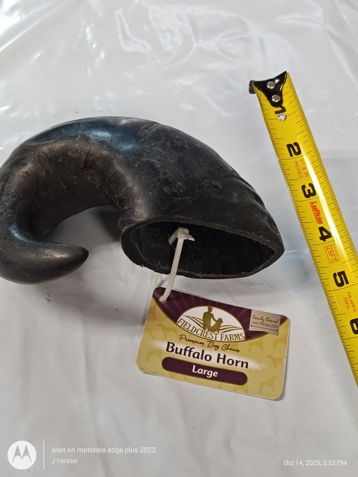 Water Buffalo Horn Natural Long Lasting Dog Chew 7 by 4 + inches