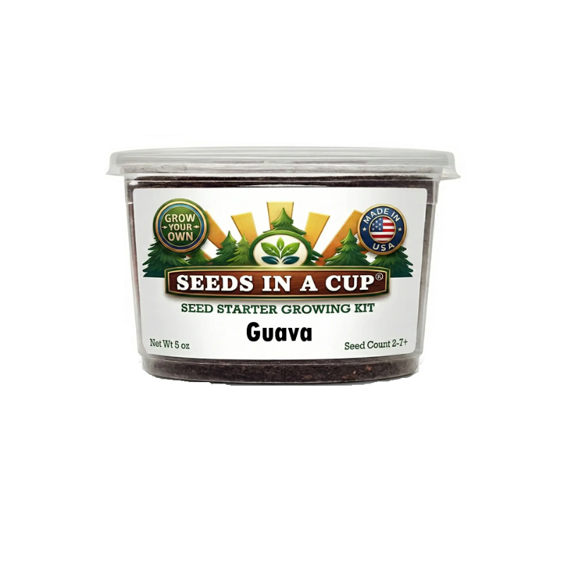 Tree & Vine Growing Kit - Choose Your Tree Type