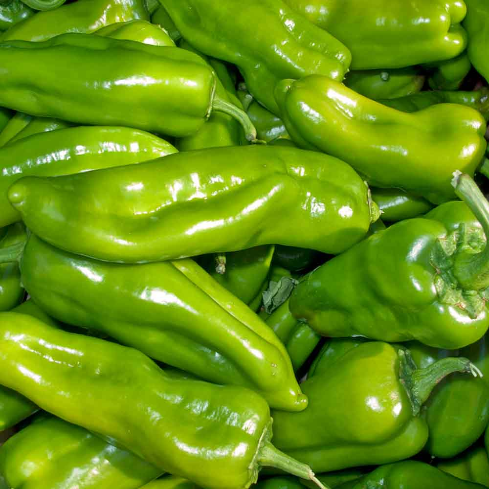 25 Cubanelle Sweet Pepper Seeds – Capsicum annuum – Mild, Crisp & Flavorful, High-Yielding, Great for Frying