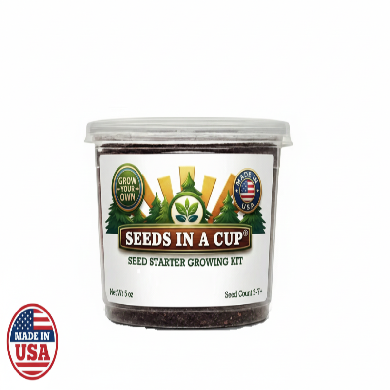 Japanese Maple Grow Kit | Grow Japanese Maple from Seed | Seeds In A Cup®