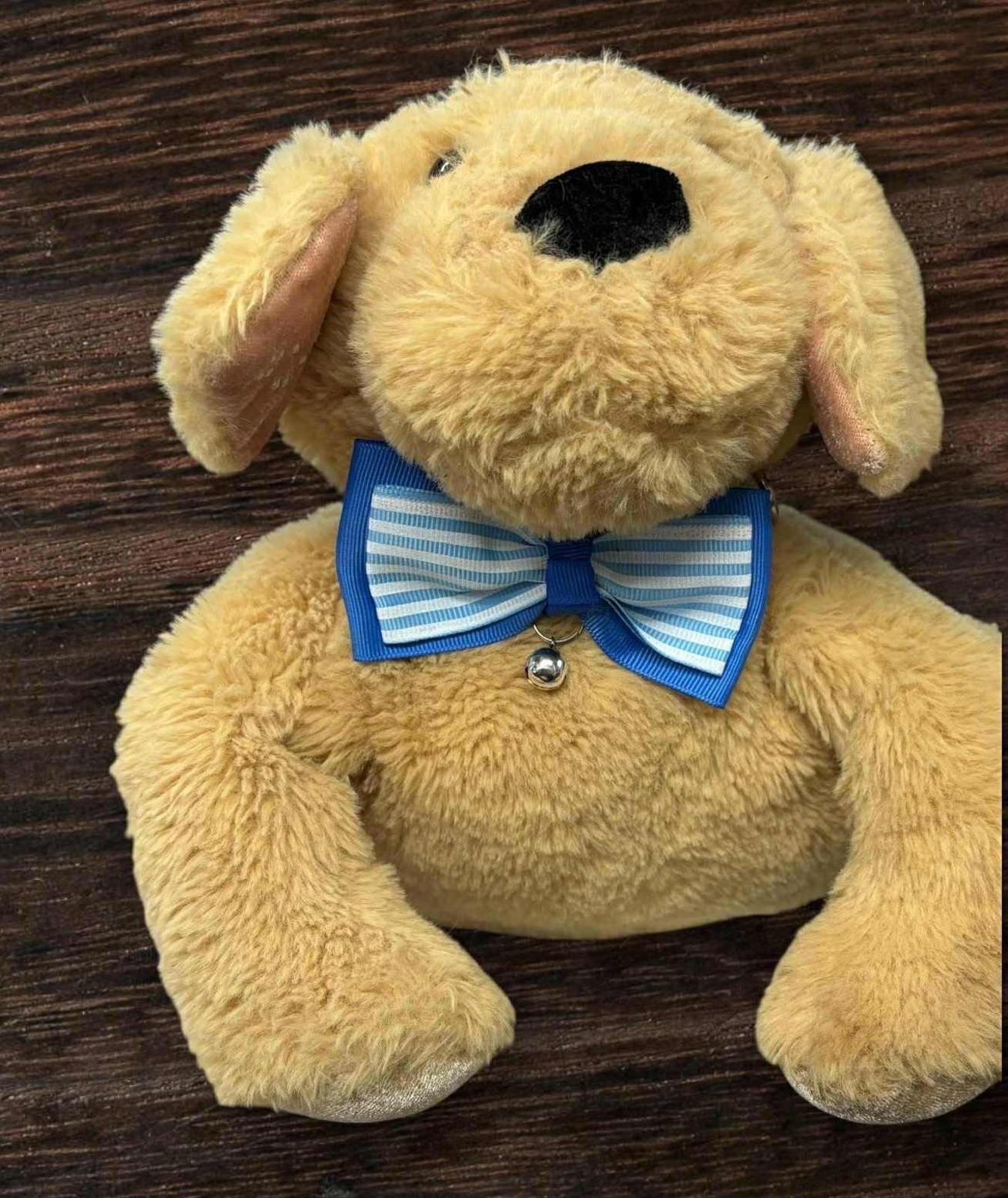 Bowtie Fashion Dog Collar with Bow Tie with Bell Adjustable collar up to 12.5"
