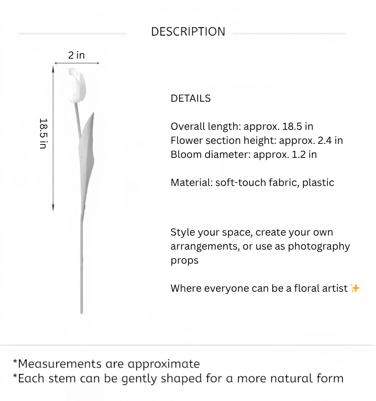 Graceful Tulip Stem – 19"