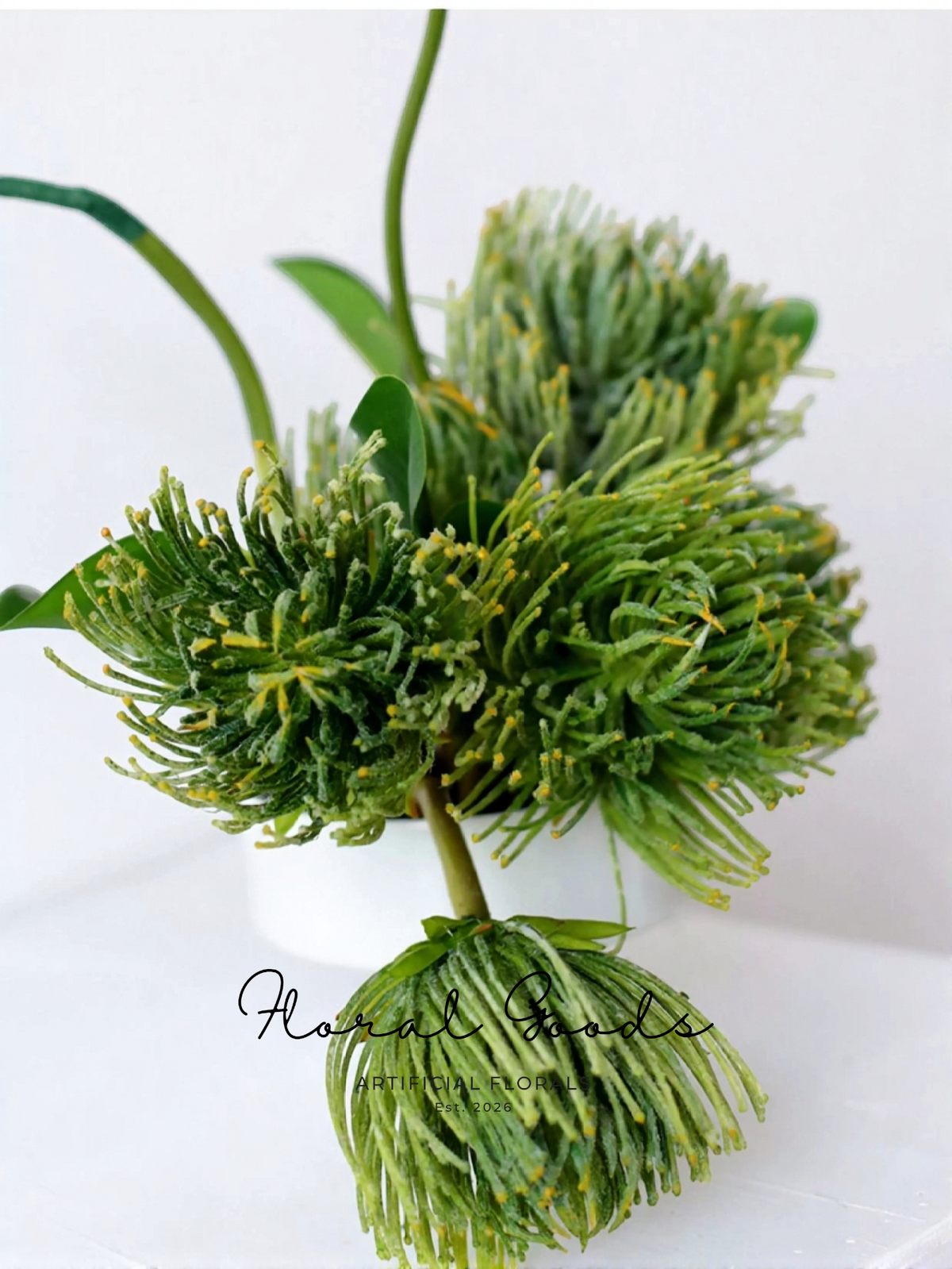 Sculptural Pincushion Protea Stem – 25.6"