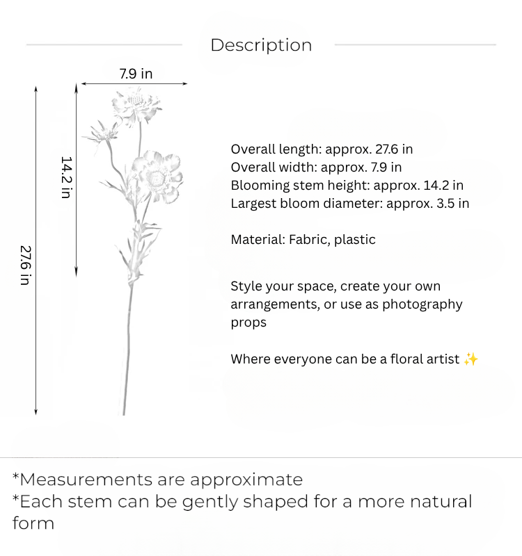 Wild Scabiosa Stem – 27.5"