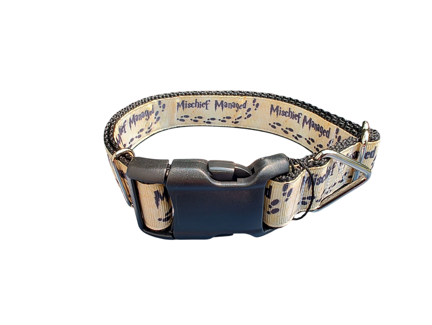 Mischief Managed Nylon Dog Collar