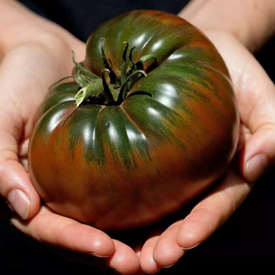 Russian Black Krim Tomato Seeds - 60+ NON GMO Organic Heirloom Seeds - Fresh Garden Planting