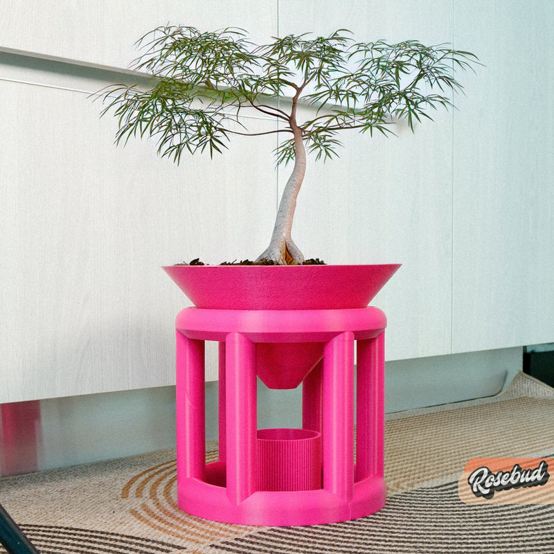 Plant Stands and Hangers