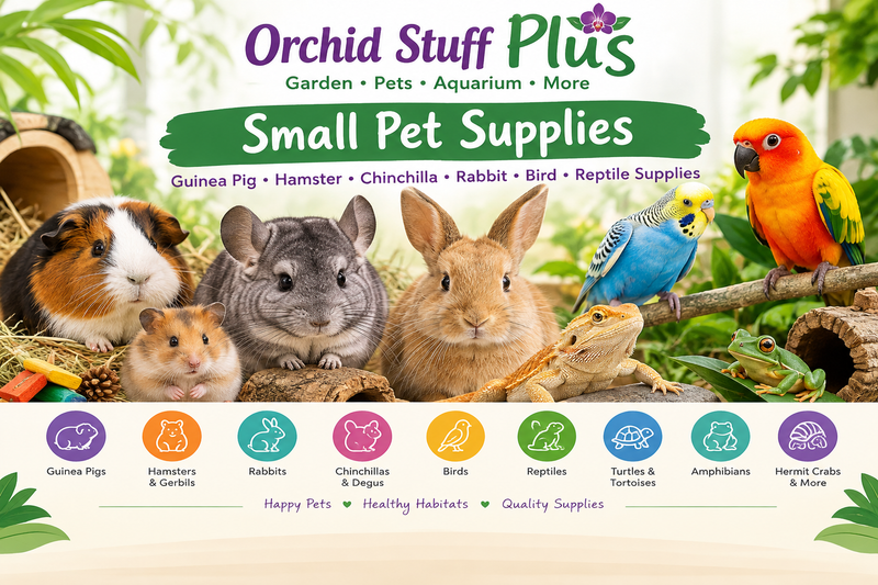 Small Pets & Exotic Animal Supplies