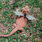 Bearded Dragon harness
