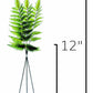 22" Faux Forest Fern Stem Bundle