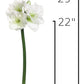 29" Faux White Amaryllis Stem