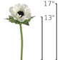 17" Faux Anemone White Stem