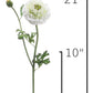 21" Faux Double Ruffled Ranunculus Stem White