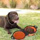 Silicone Outdoor Folding Double Bowl Pet Dog Food Appliances Cat Food Dog Bowl Multifunctional Folding Silicone Pet Bowl