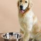 Pet Slow Food Stainless Steel Bowl And Tableware