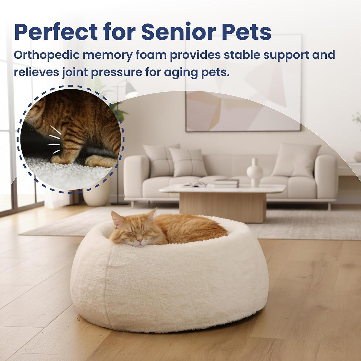 Orthopedic Cat & Small Dog Bed – Memory Foam, Faux Fur