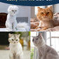 Cat Clippers for grooming