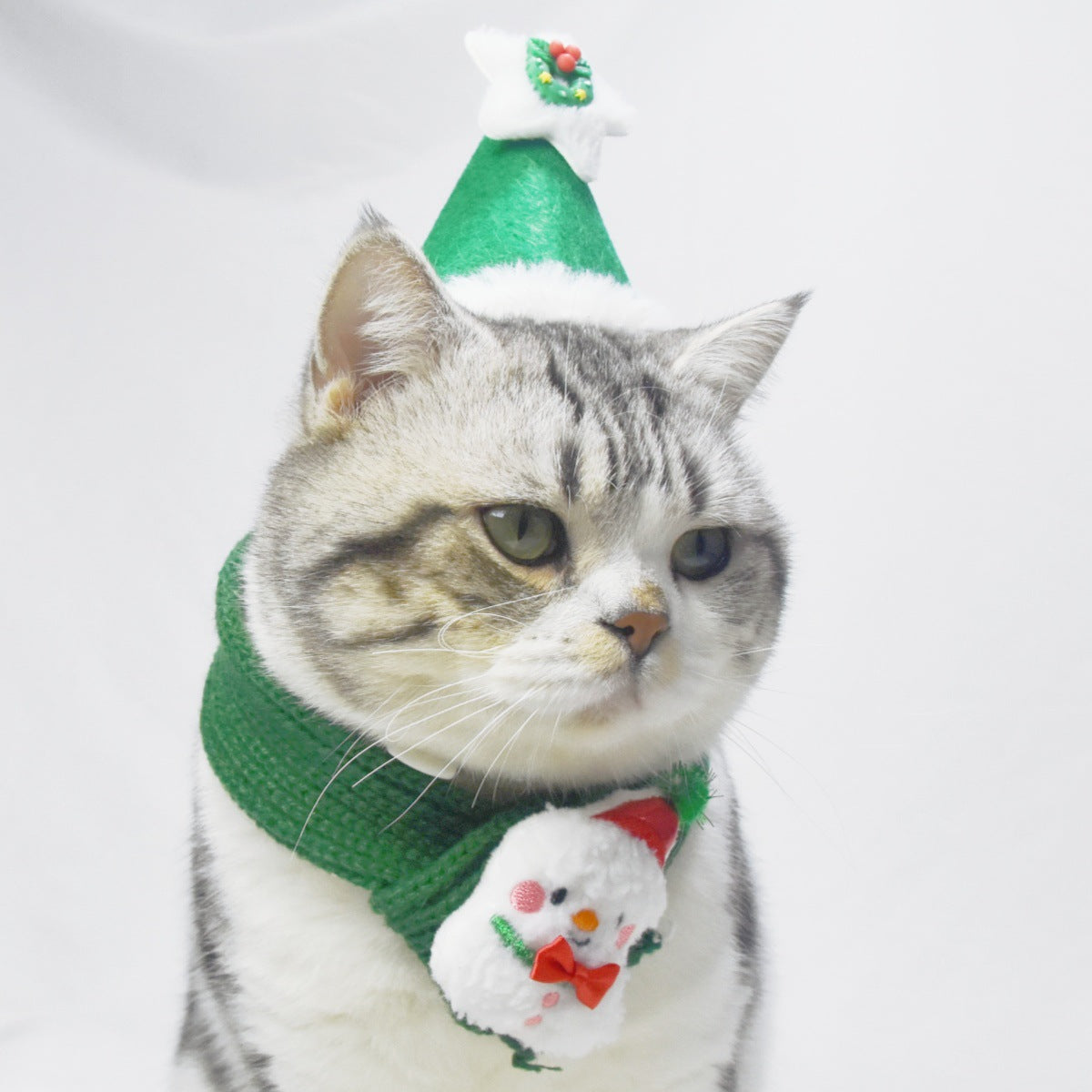 Christmas Knitted Scarf And Hat For Dogs And Cats