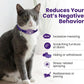 Cat Calming Collar Plus Breakaway Pheromone Collar for Stress Relief