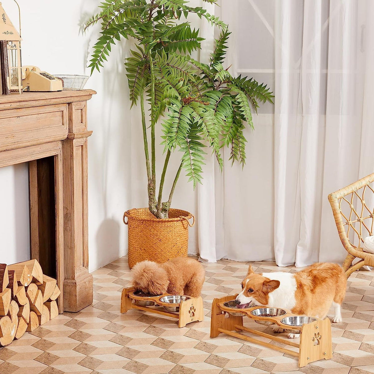 Elevated Dog Bowls for Cats and Dogs