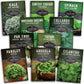 Power Greens Seed Collection – 10 Heirloom Non-GMO Leafy Green & Herb Varieties for Year-Round Nutrition