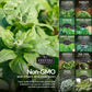 Power Greens Seed Collection – 10 Heirloom Non-GMO Leafy Green & Herb Varieties for Year-Round Nutrition