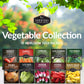 10 Vegetable Seed Collection – Heirloom Non-GMO Garden Vegetables for Home Growing and Food Security