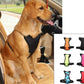 Car Seat Belts For Pets